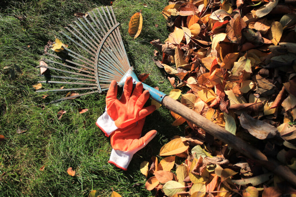 Herbstpflege im Garten