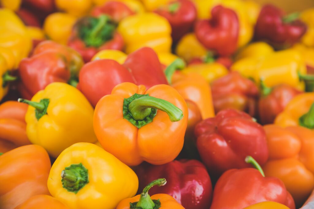 Jetzt Paprika vorziehen: so erzielen Sie eine reiche Ernte