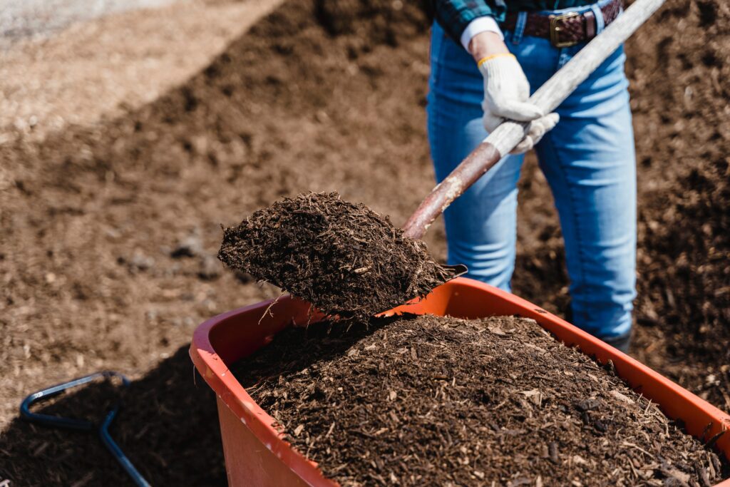Kompost wird in eine Schubkarre mit einer Schaufel geladen und dient der Nachhaltigkeit im Garten