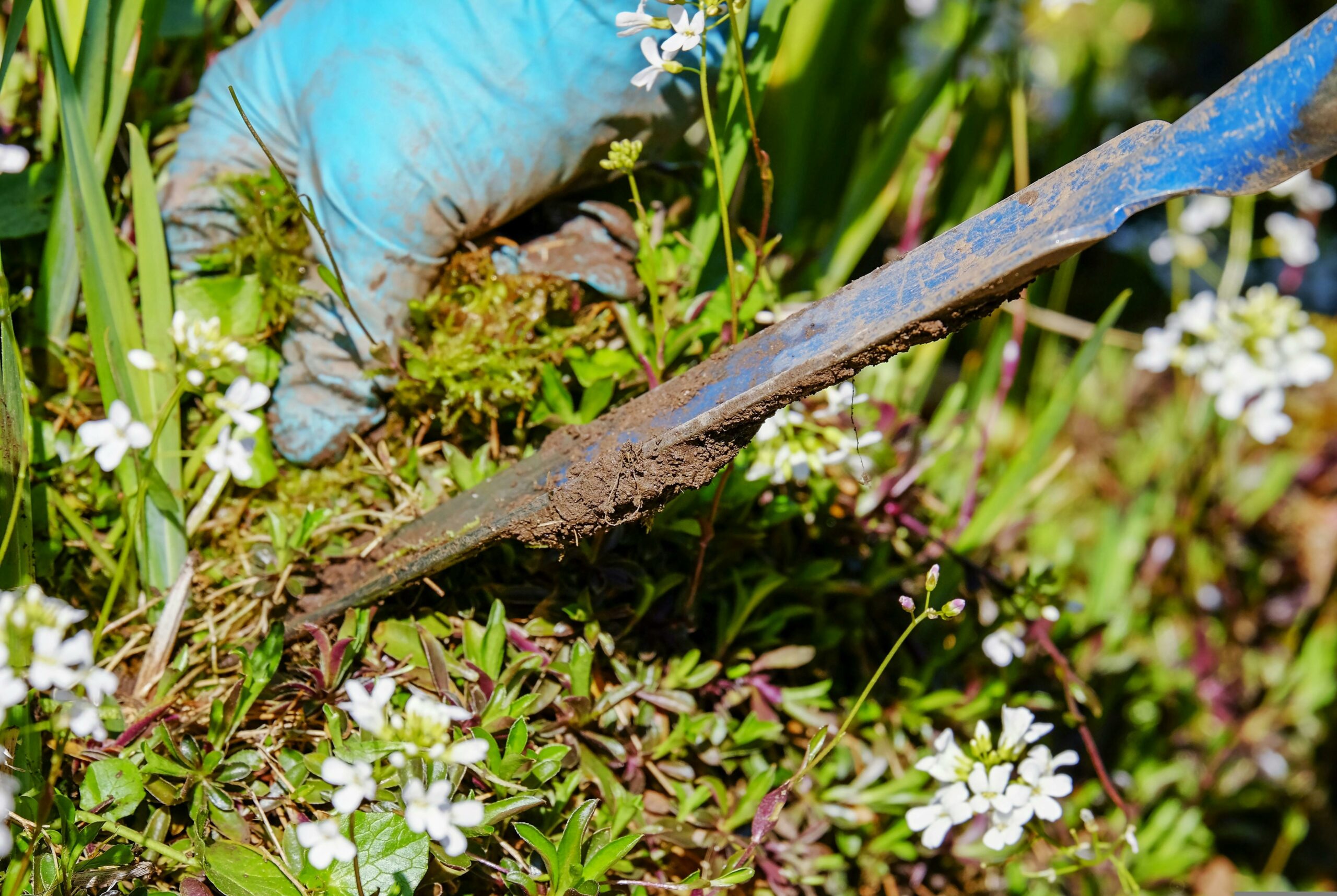 Starten Sie mit unserem Leitfaden in die Gartensaison! Erfahren Sie, wie Sie Ihren Garten im Frühling optimal vorbereiten, Unkraut effektiv bekämpfen und neue Pflanzen erfolgreich einpflanzen. Machen Sie Ihren Garten mit diesen Tipps zu einem blühenden Paradies.