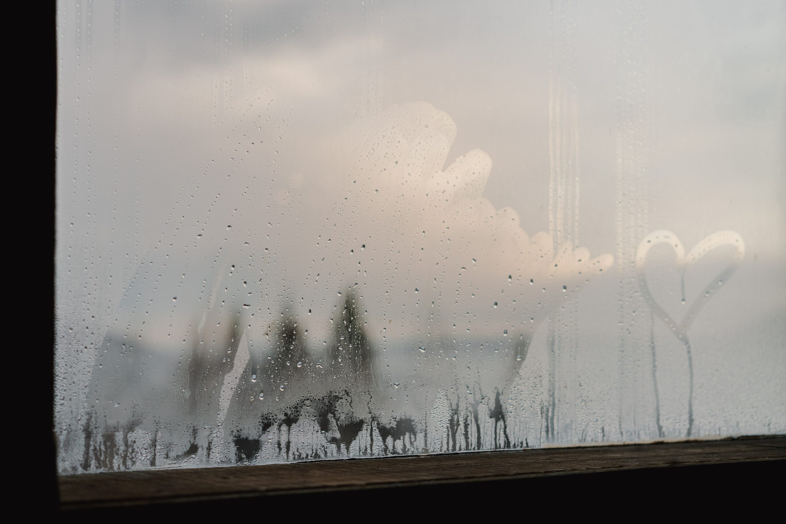 Beschlagene Fenster in einer Wohnung ein sicheres Zeichen, dass die Luftfeuchtigkeit in ihren Räumen zu hoch ist.