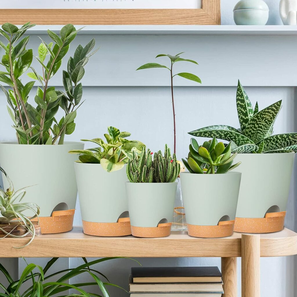 Selbstbewässernde Pflanzgefäße eignen sich hervorragend für den Einsatz auf Balkonen, Terrassen oder in der Wohnung für deine geliebten Zimmerpflanzen.