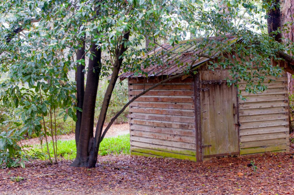 Ein altes Gartenhaus unter einem Baum