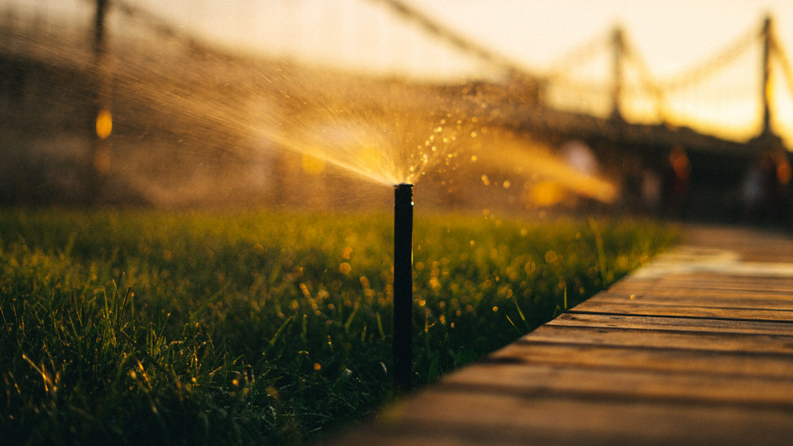 Rasesprinkler bewässert den Rasen bei Sonnenuntergang und symbolisiert den Inhalt des Artikels über Gardena Bewässerung