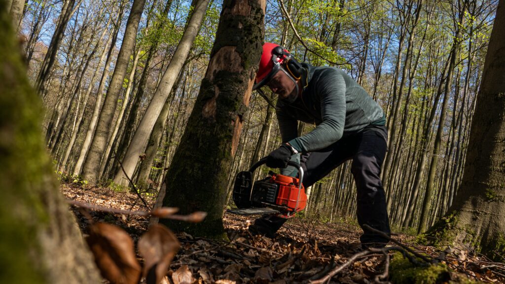Forstarbeiten sägt mit einer Kettensäge einen Baum im Wald
