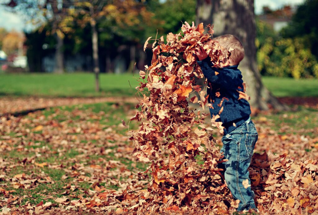 In Kind spielt im Laub und macht seinen Garten zum Abenteuerspielplatz