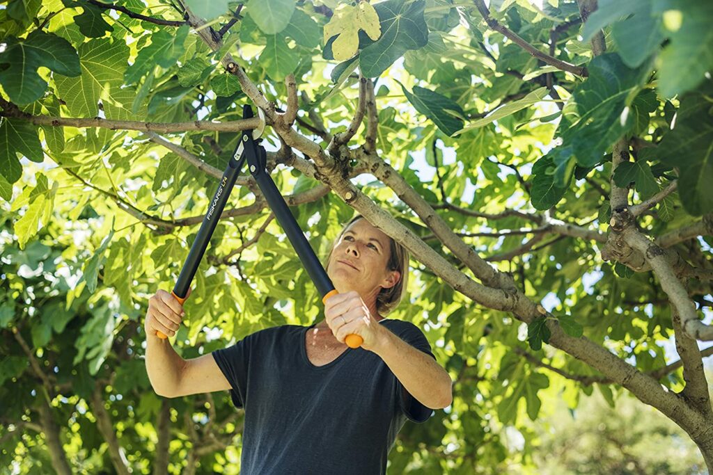 Frau schneidet mit einer Fiskars Astschere den Ast an einem Baum