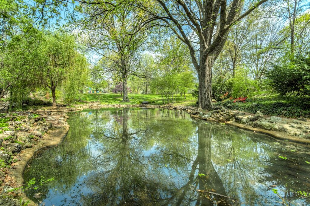 Gartenteich mit klaren Teichwasser umsäumt von Bäumen