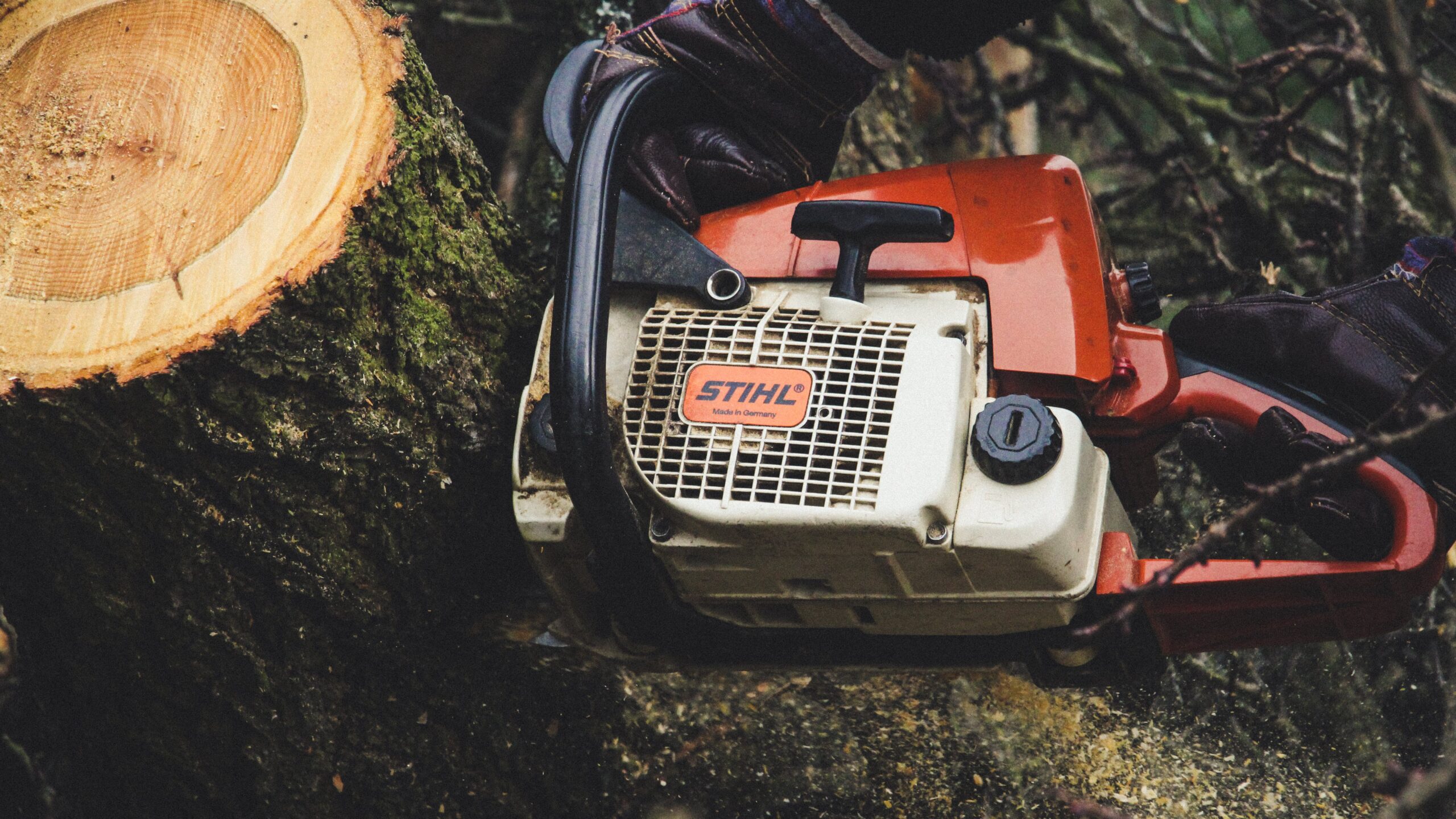 Eine Kettensäge von Stihl sägt durch einen Baumstamm